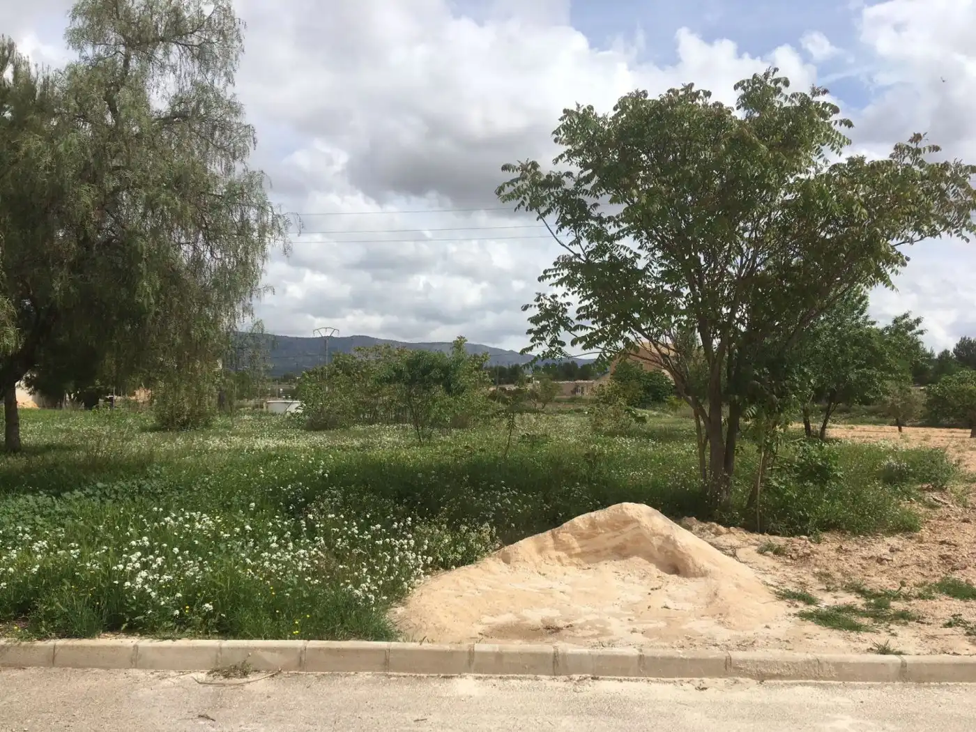 Terreny residencial en venda a Algueña, imagen 3