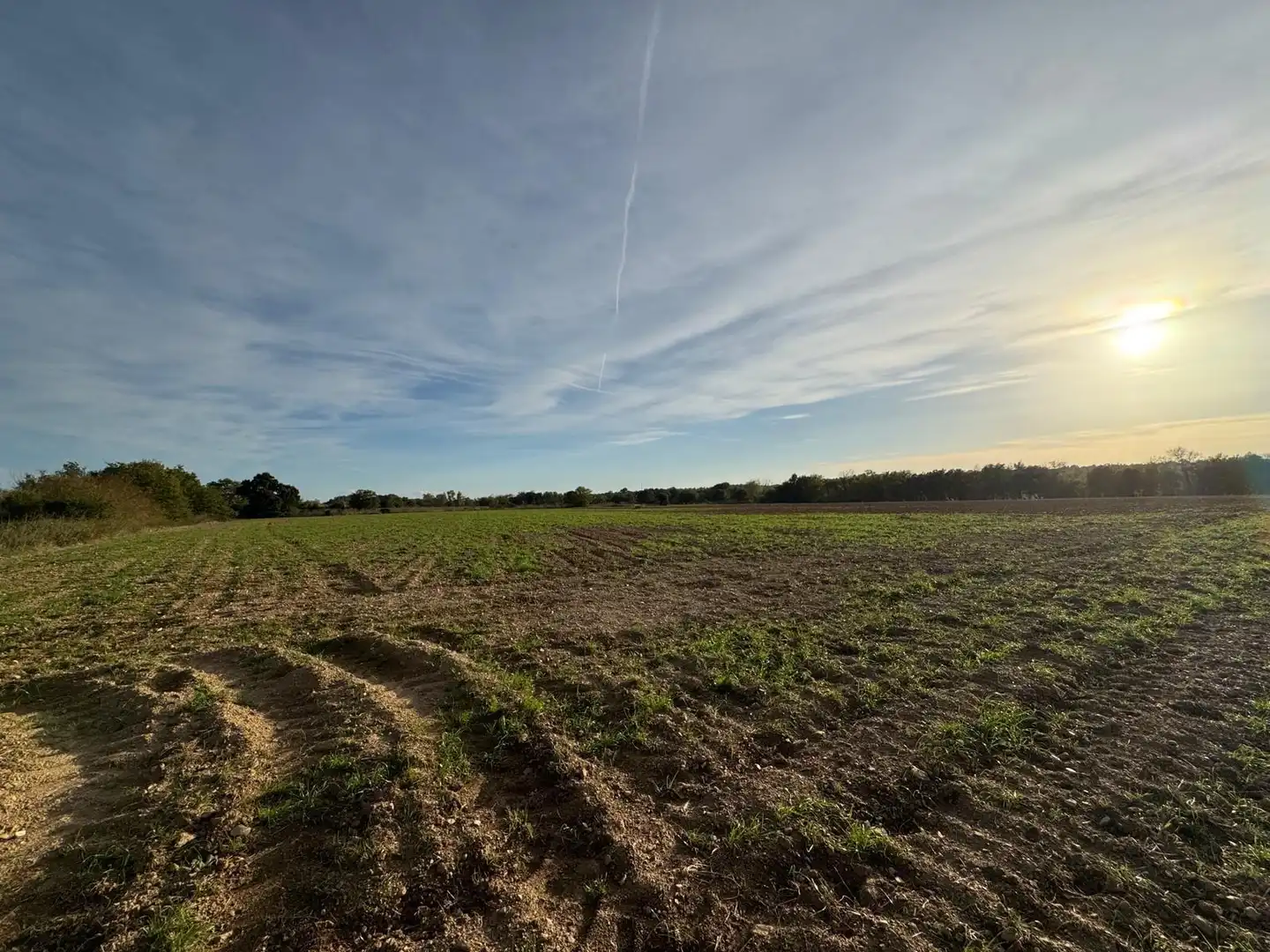 Rural land for sale in Garriguella, imagen 6