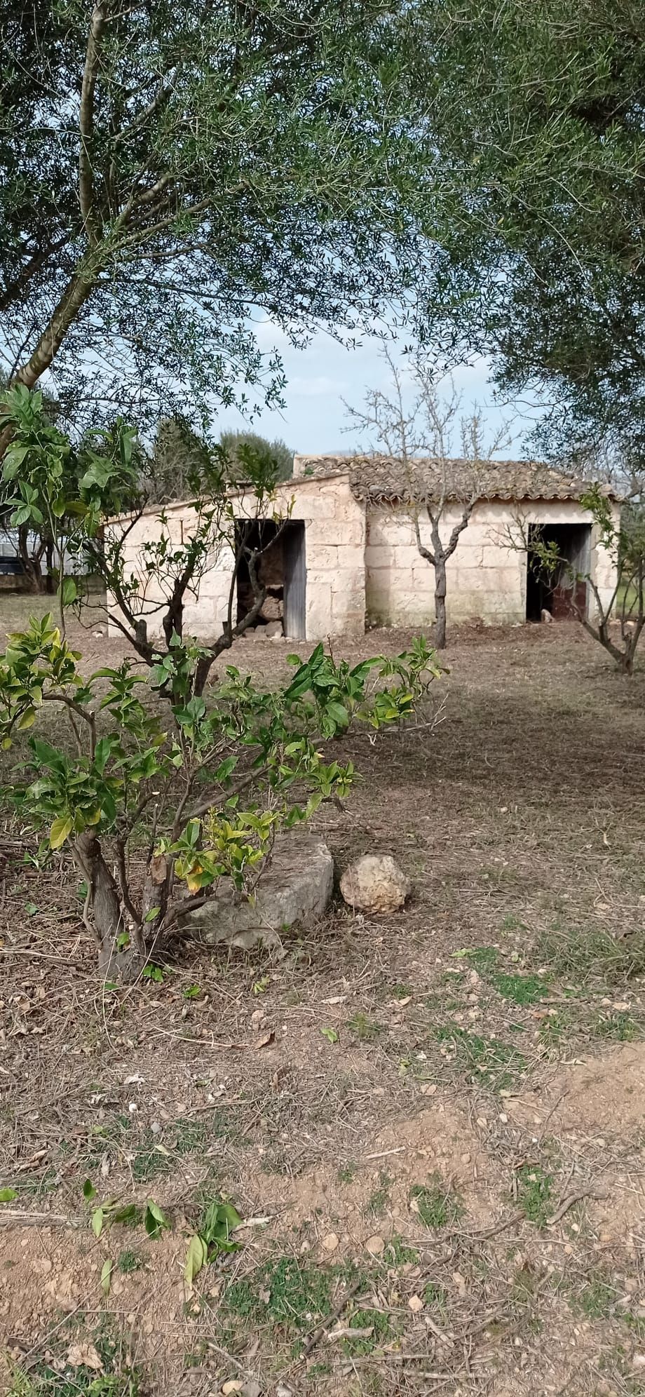 Finca rústica en venta en Campanet
