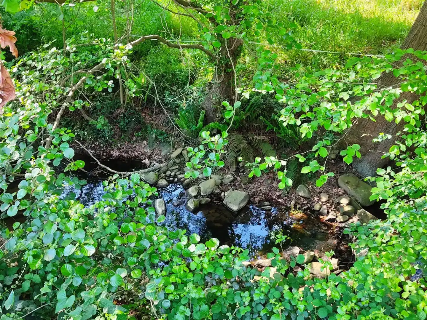 Außenansicht von Grundstücke zum Verkauf in Idiazabal