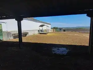 Terreni e lotti in vendita a Norte, imagen 15