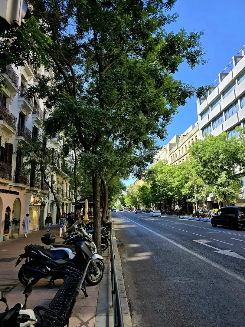 Appartement avec ascenseur à vendre à Barrio de Salamanca, imagen 3