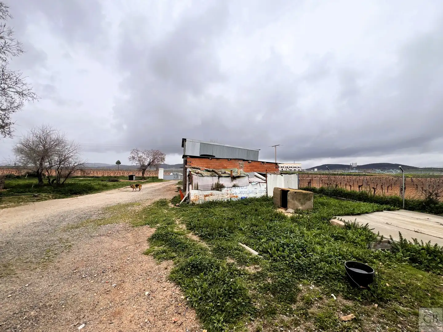 Terrenys i solars en venda a Consuegra, imagen 4