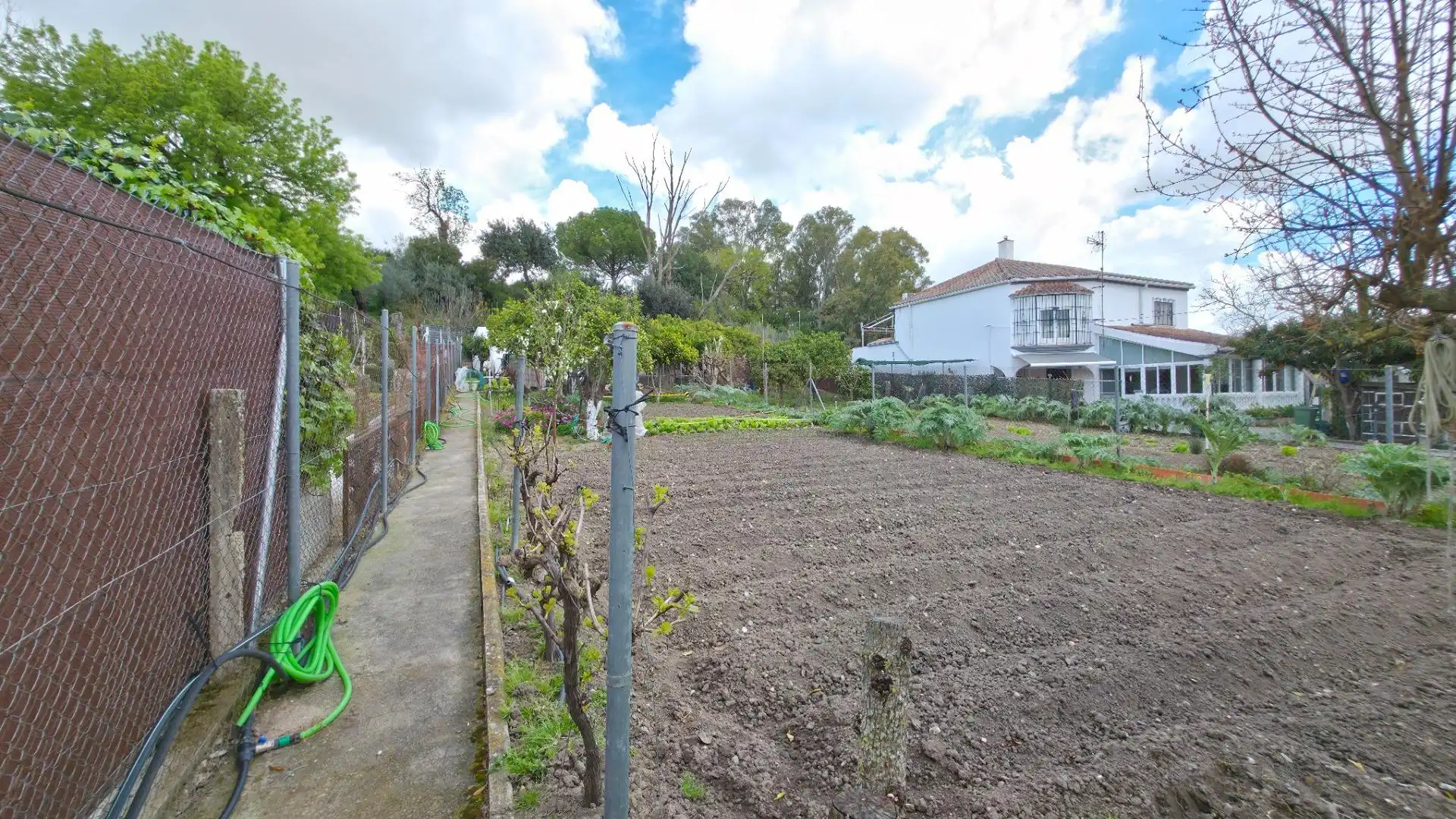 Garden of Houses for sale in Arcos de la Frontera  with Private garden and Storage room