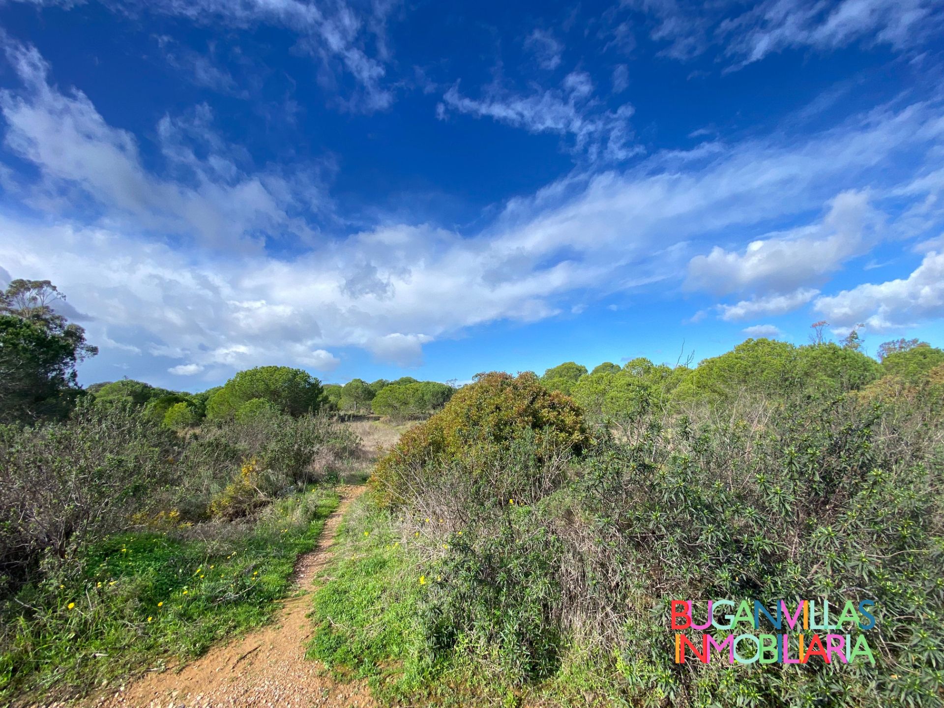 Land for sale in Villablanca