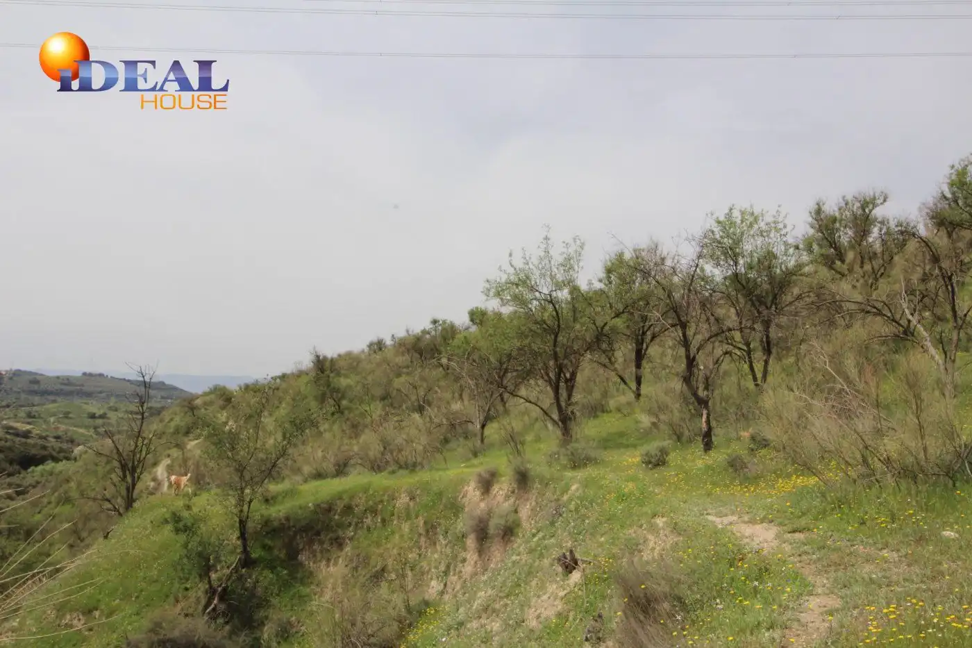 Country homes for sale in Víznar