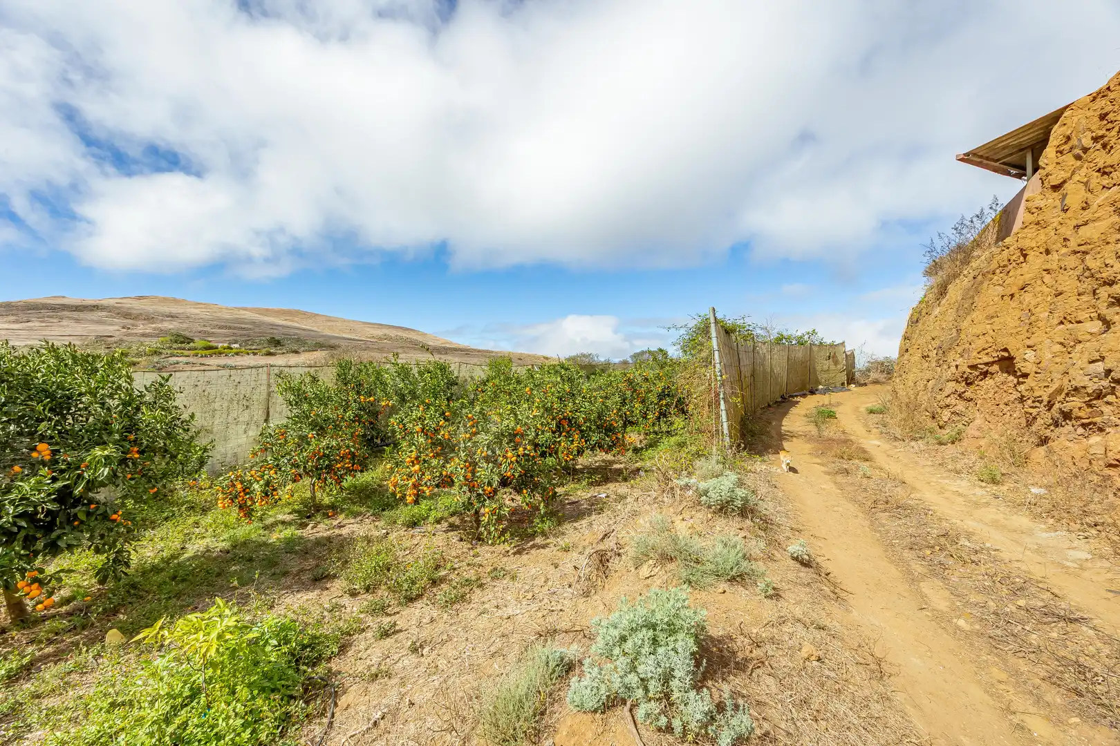 Residencial en venta en Lugar Lomo del Poleo, Saucillo - Fagajesto - Juncalillo