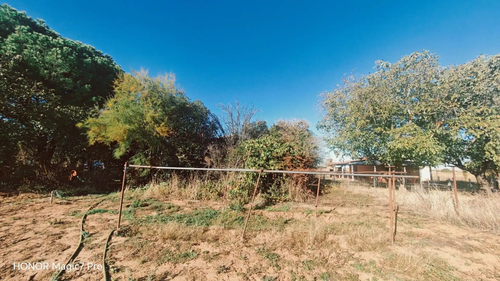 Finca rústica en venda en Urbanización Siglo XXI - Carretera de Villalpando