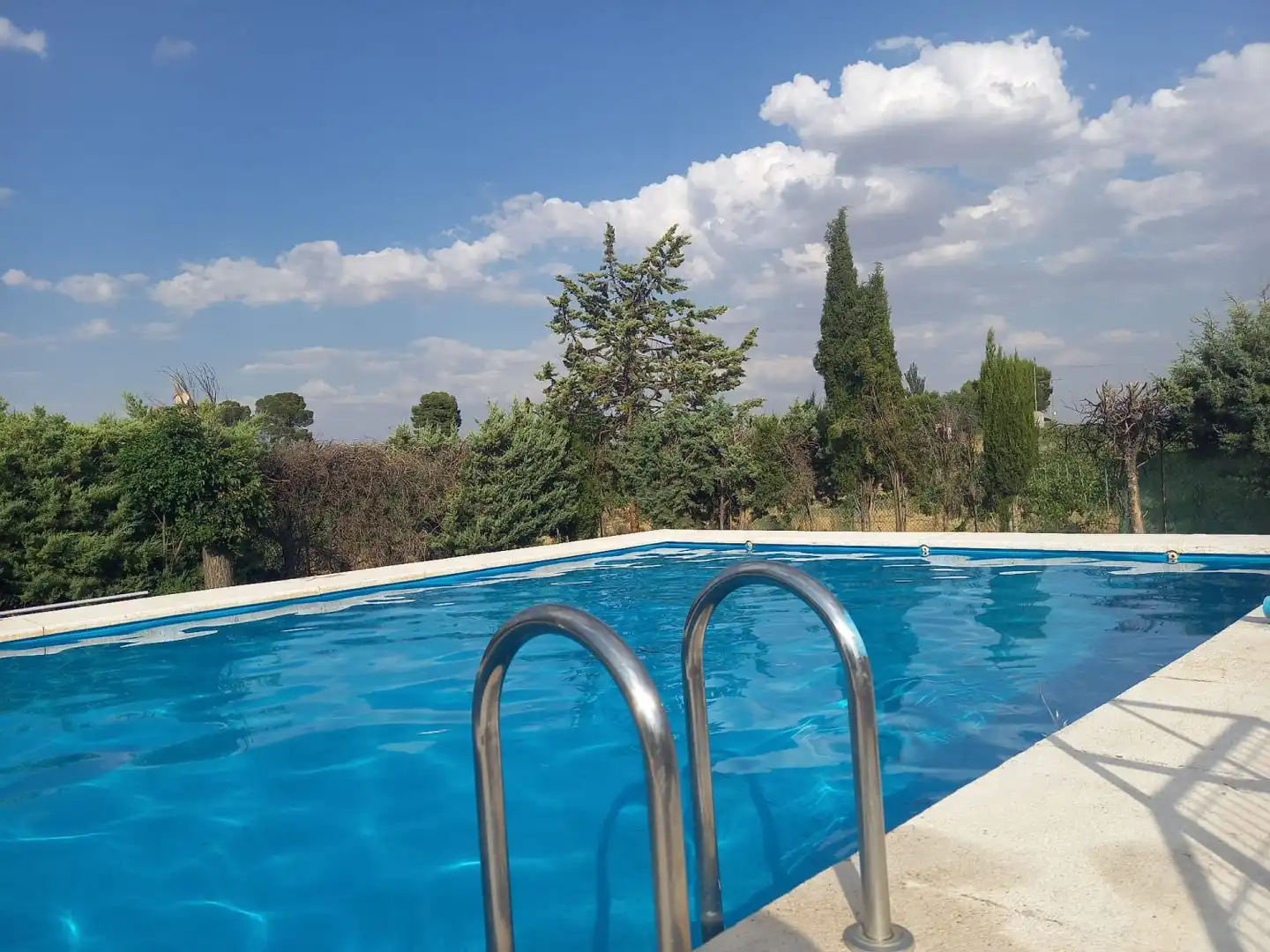 Swimming pool of Houses for sale in Daimiel