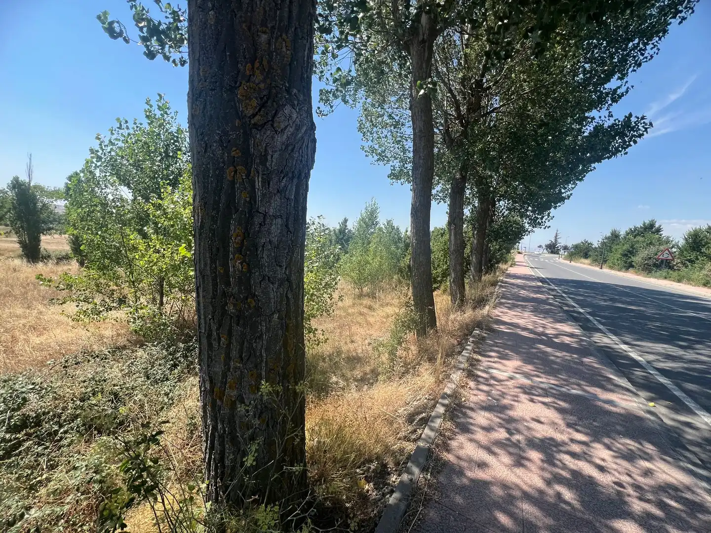 Terreni e lotti in vendita a Carretera Burgohondo, imagen 11