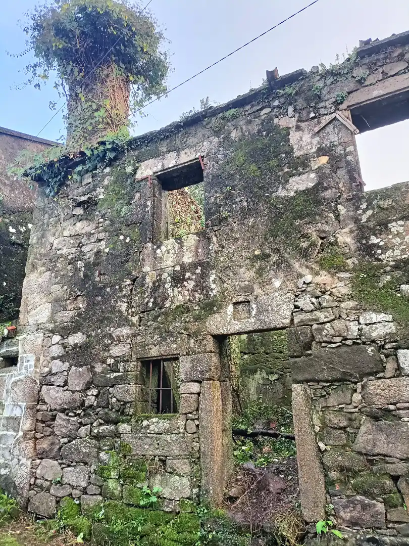 Vista exterior de Finca rústica en venta en Santiago de Compostela 