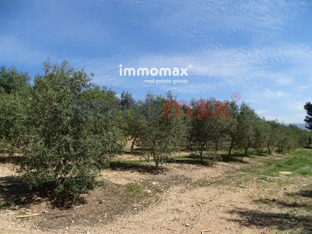 Terrenos y solares en venta en 63, imagen 4