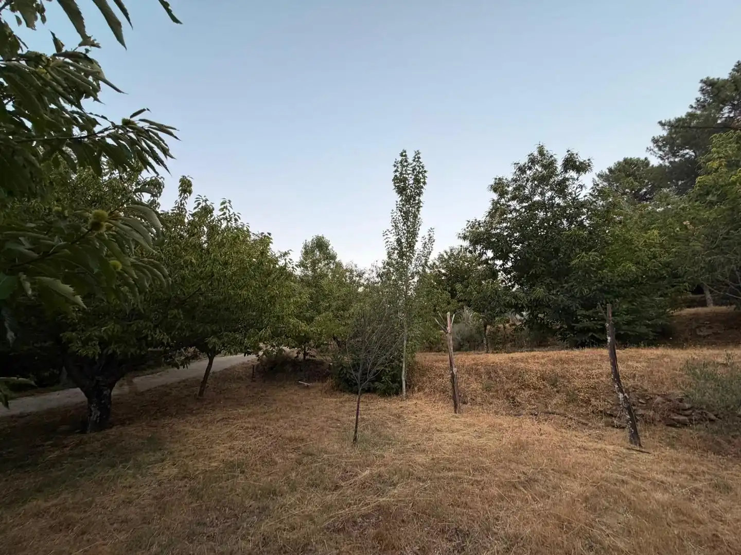 Finca rústica en venta en El Arenal  con Amueblado
