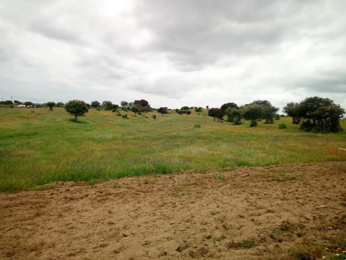 Terreni e lotti in vendita a Oropesa, imagen 14