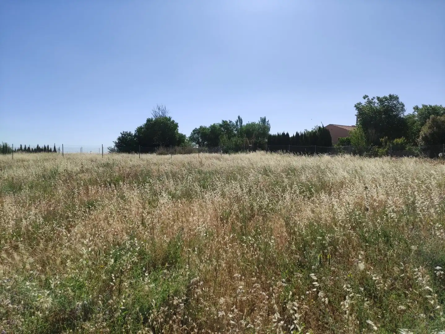 Terreni e lotti in vendita a Área Rural-Valverde-Las Casas, imagen 2