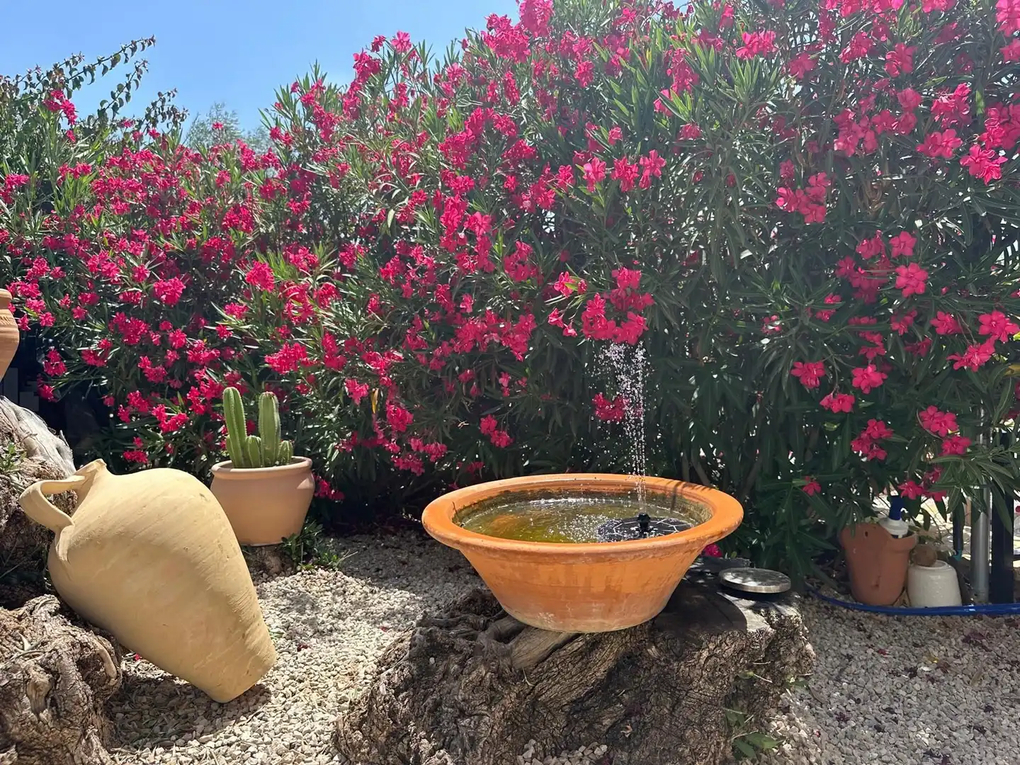 Garden of Houses for sale in Villanueva de Algaidas  with Terrace and Swimming Pool