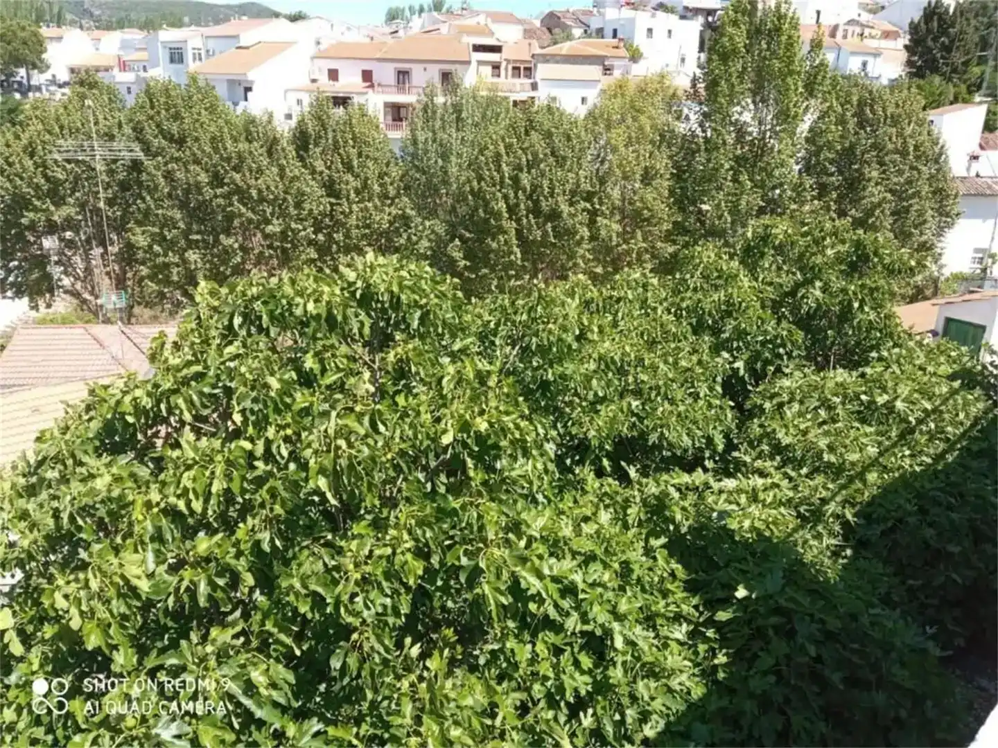 Casa adosada en venda en Arriate amb Aire condicionat, Piscina i Moblat