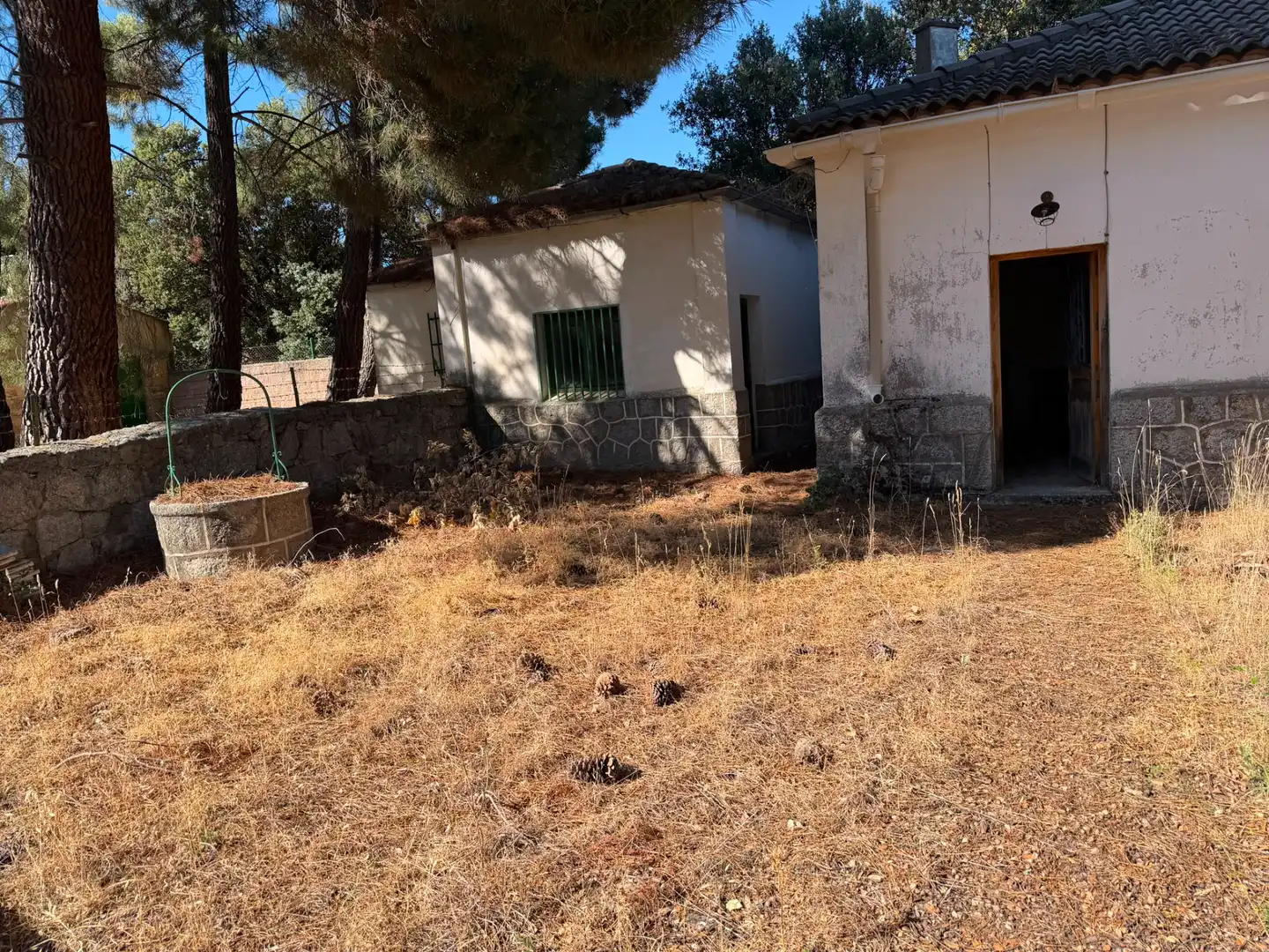 Finca rústica en venta en Muñana