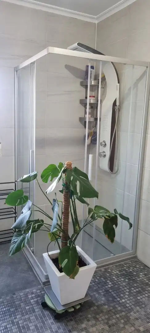 Bany de Casa o xalet en venda en Hondón de los Frailes amb Jardí privat, Terrassa i Traster
