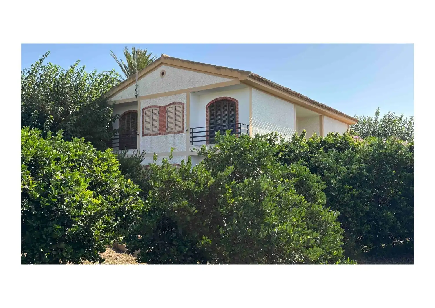 Vista exterior de Finca rústica en venda en Alhama de Murcia amb Jardí privat, Terrassa i Traster