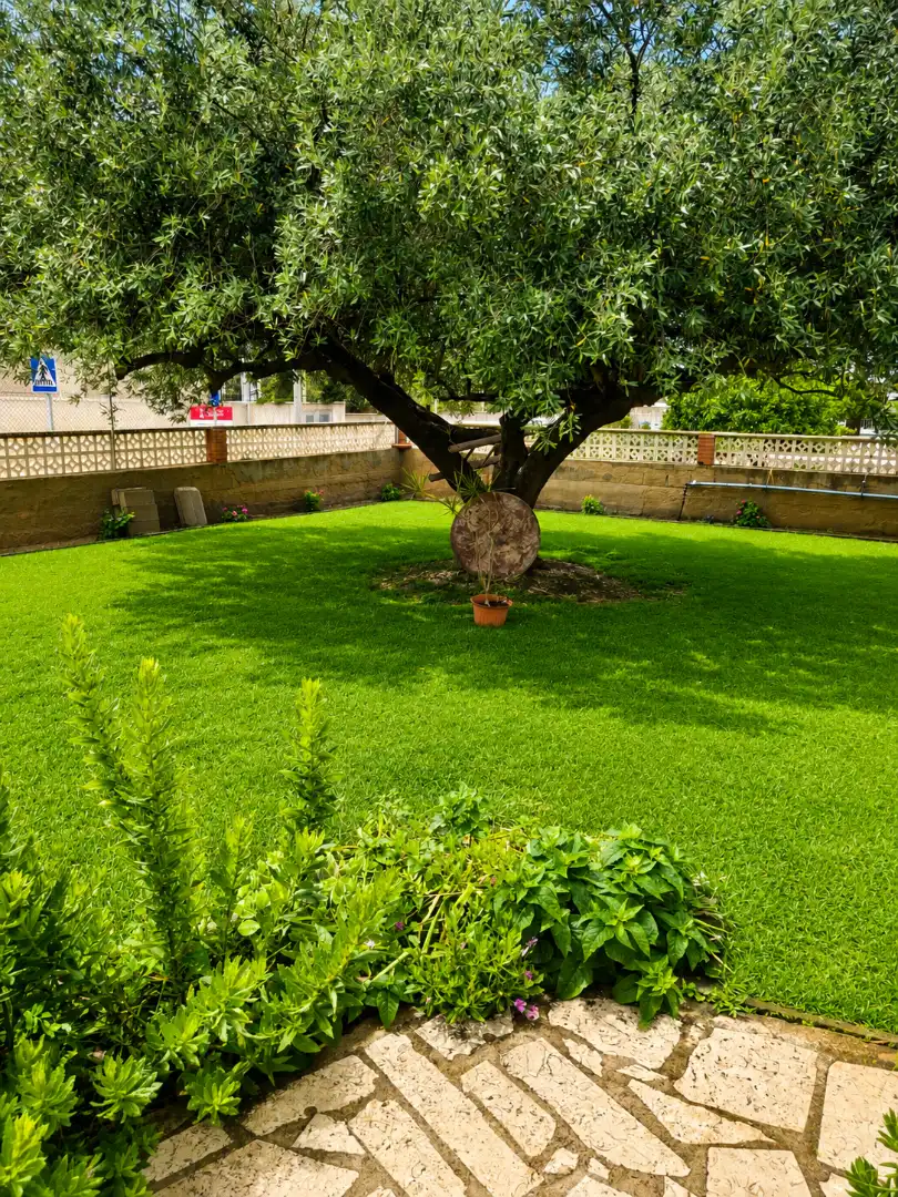 Jardín de Casa o chalet en venta en Vinaròs con Aire acondicionado, Calefacción y Jardín privado