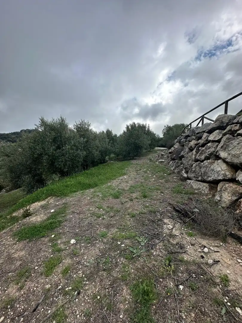 Terreni e lotti in vendita a Alfarnate, imagen 59