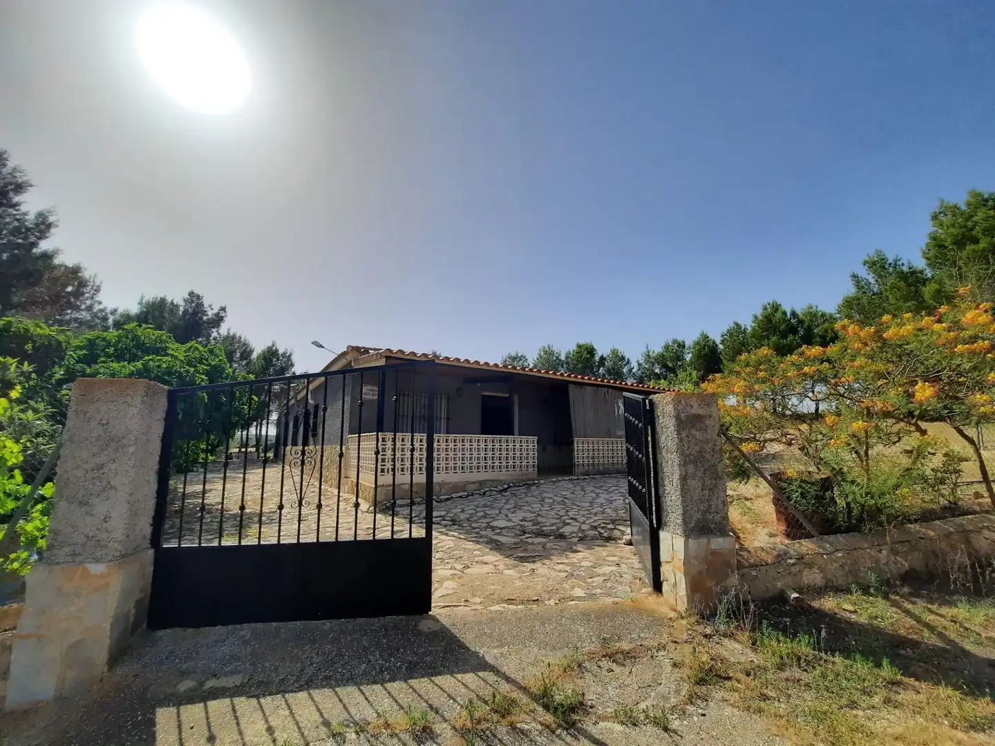 Vista exterior de Casa o chalet en venta en Alpera con Amueblado