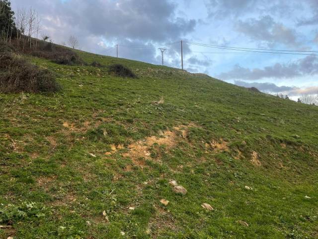 Terreno residencial en Venta en casar de periedo en Cabezón de la Sal