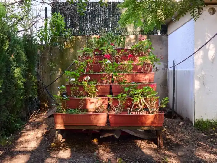Jardí de Casa o xalet en venda en Mazagón