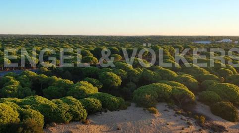 Foto 5 de Finca rústica en venda a El Rompido, Huelva