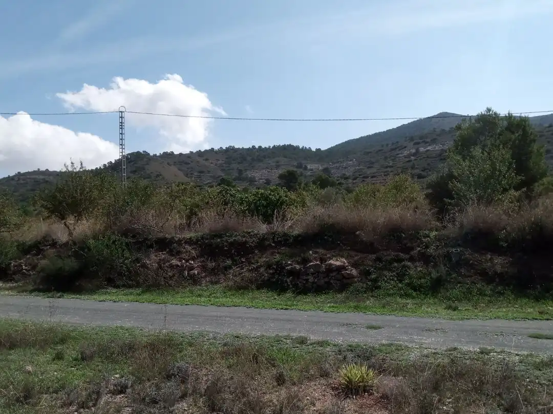 Casa rústica en venta en Paraje los Pinos Uno 10, imagen 8