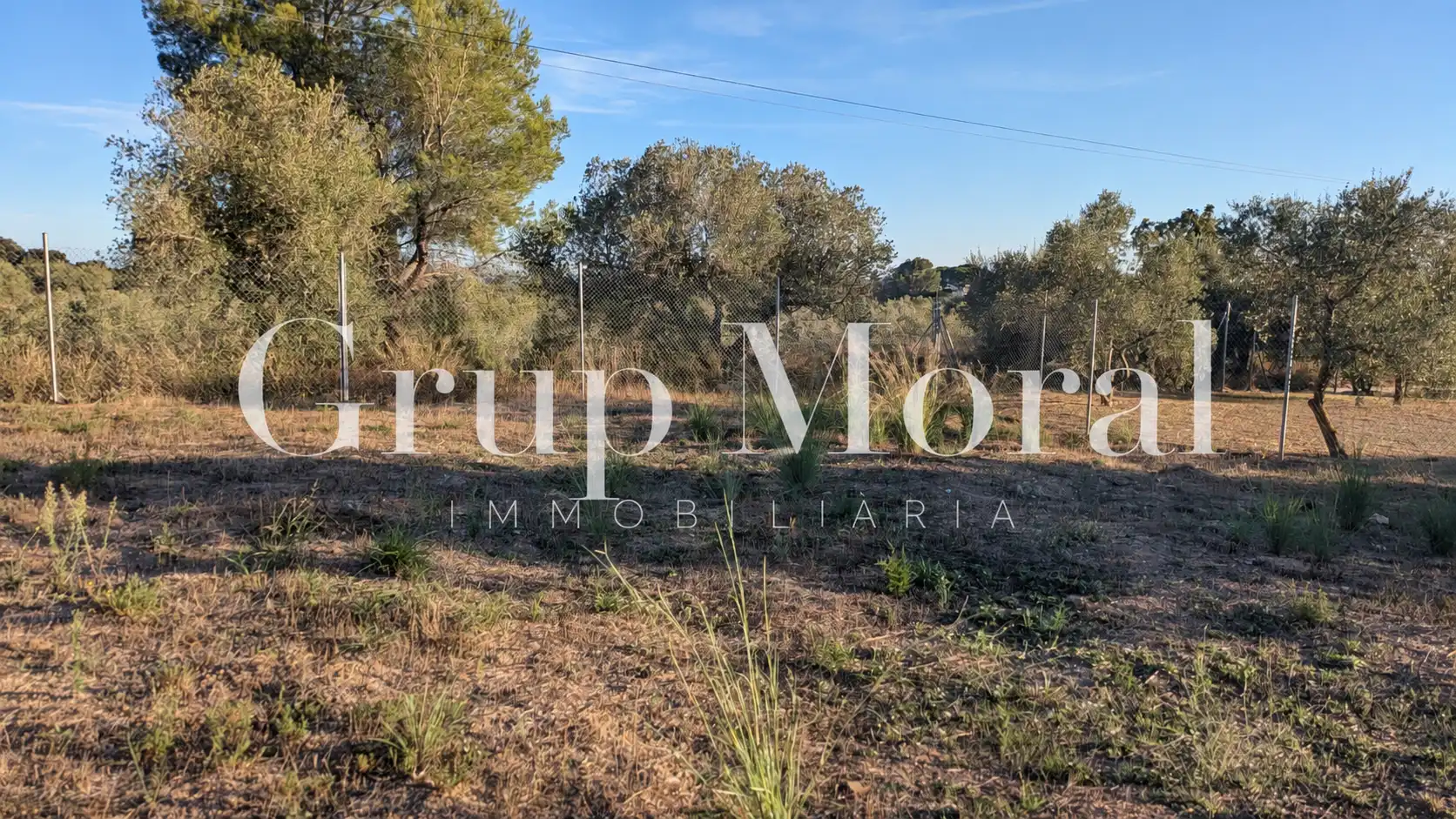 Rural land for sale in Camí del Cementiri, imagen 2