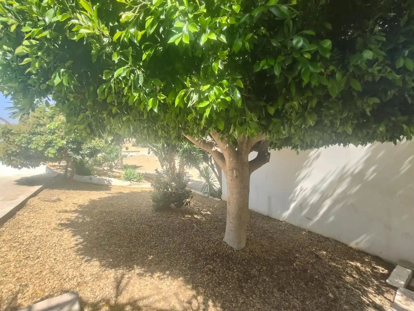 Jardí de Casa o xalet en venda en Antas amb Aire condicionat i Piscina