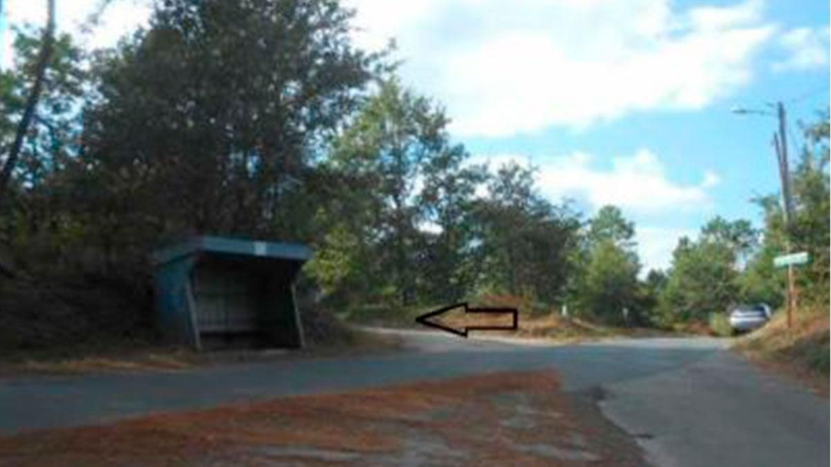 Exterior view of Residential for sale in Cartelle