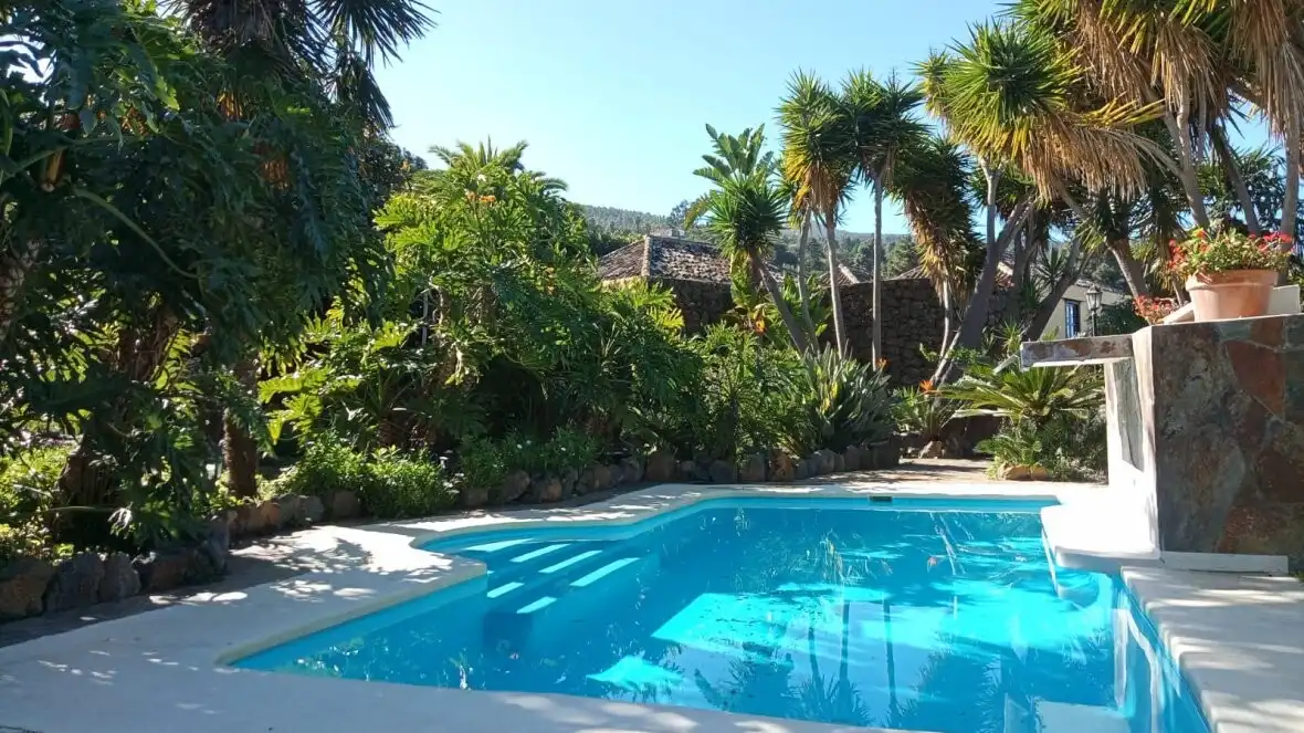 Piscina de Finca rústica en venda en Icod de los Vinos amb Terrassa