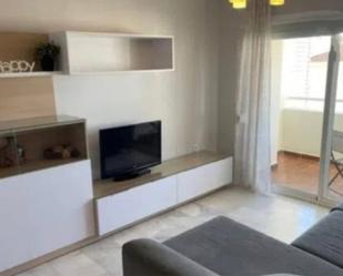 Living room of Flat to rent in Benalmádena  with Terrace