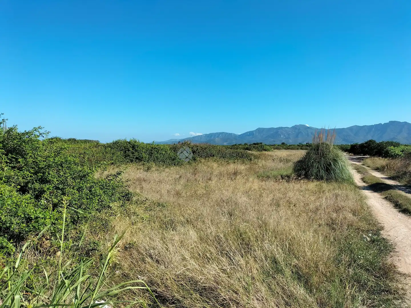 Lands and plots for sale in pol  parcela, imagen 4