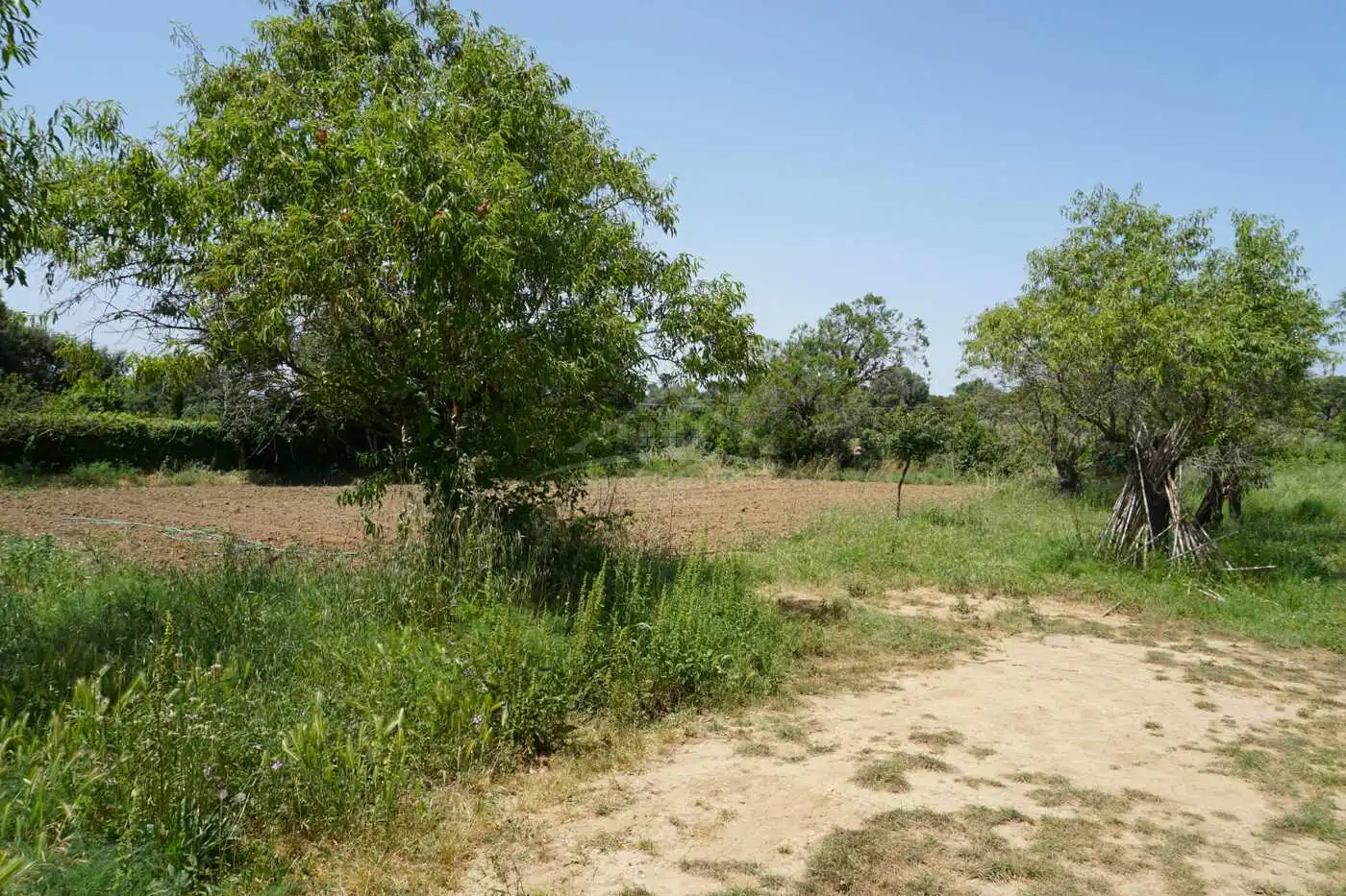 Villa con giardino in vendita a Residencial Begur - Esclanyà, imagen 13