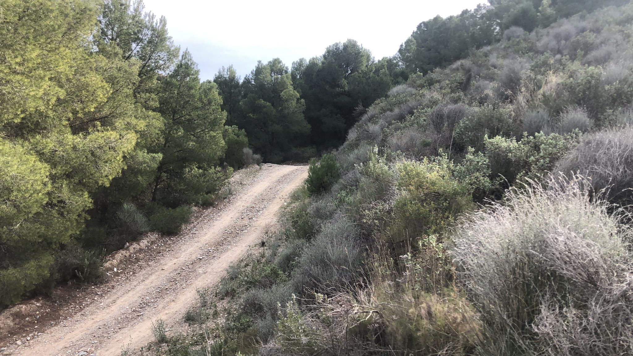 Land for sale in Lorca