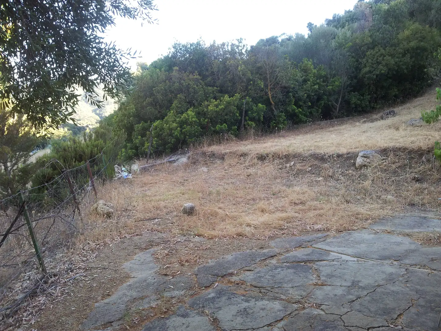 Finca rústica en venta en Ubrique