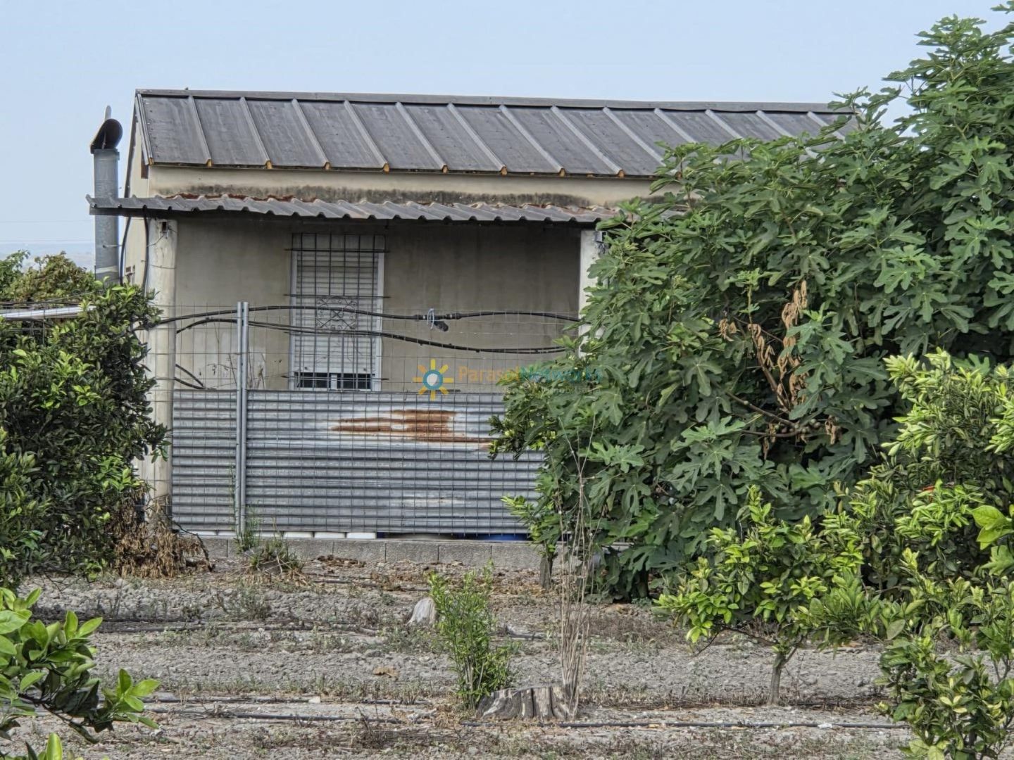 Vista exterior de Finca rústica en venda en Senyera amb Jardí privat i Terrassa