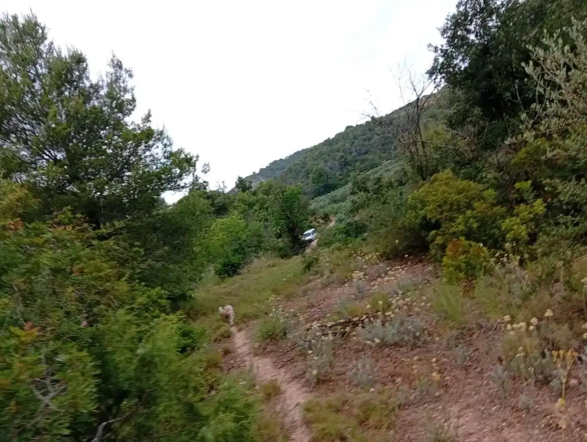 Piso en venta en Corbera d'Ebre, imagen 8