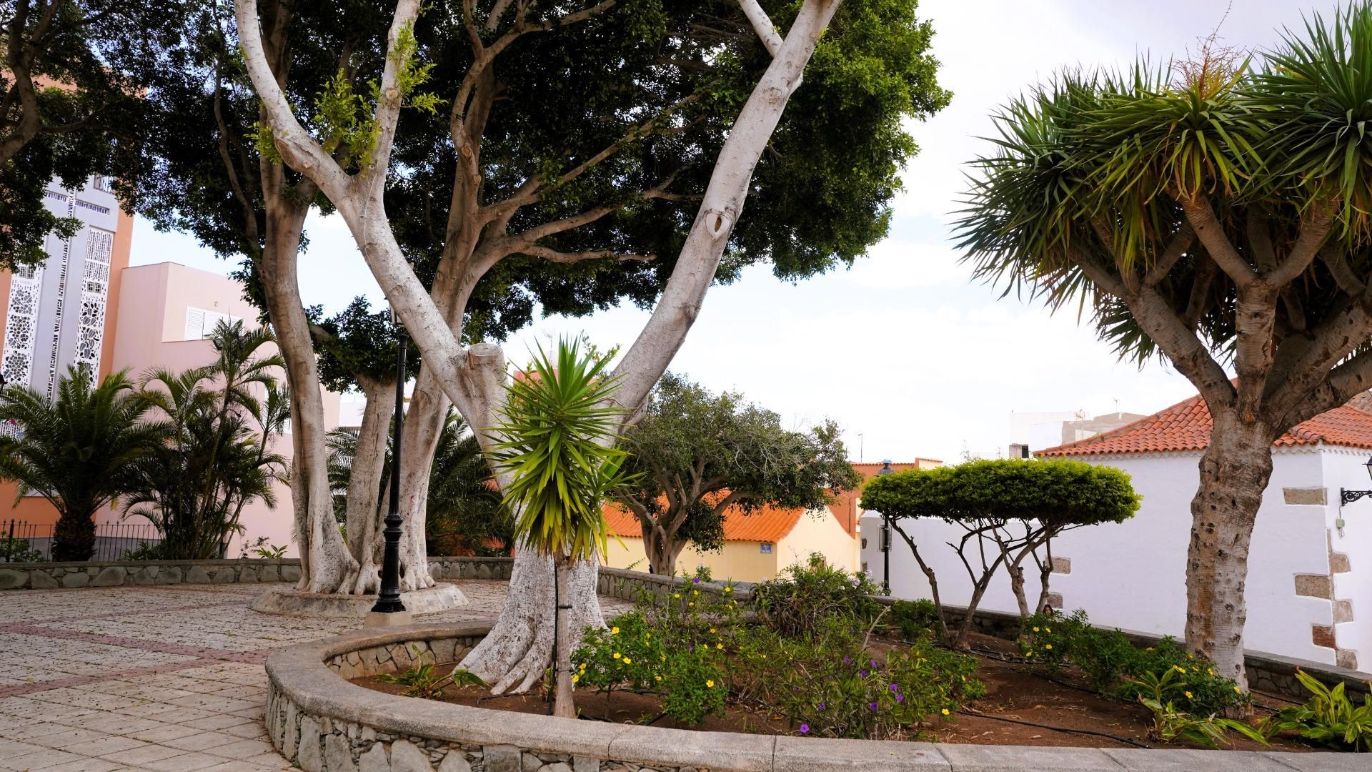 House or chalet for sale in Sardina