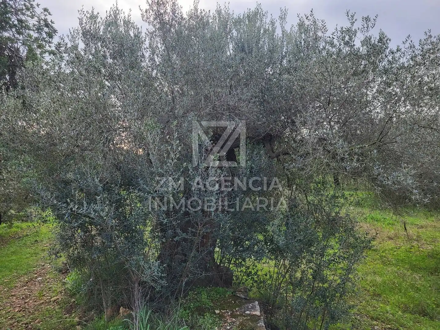 Terreno rustico in vendita a Cabanes, imagen 11