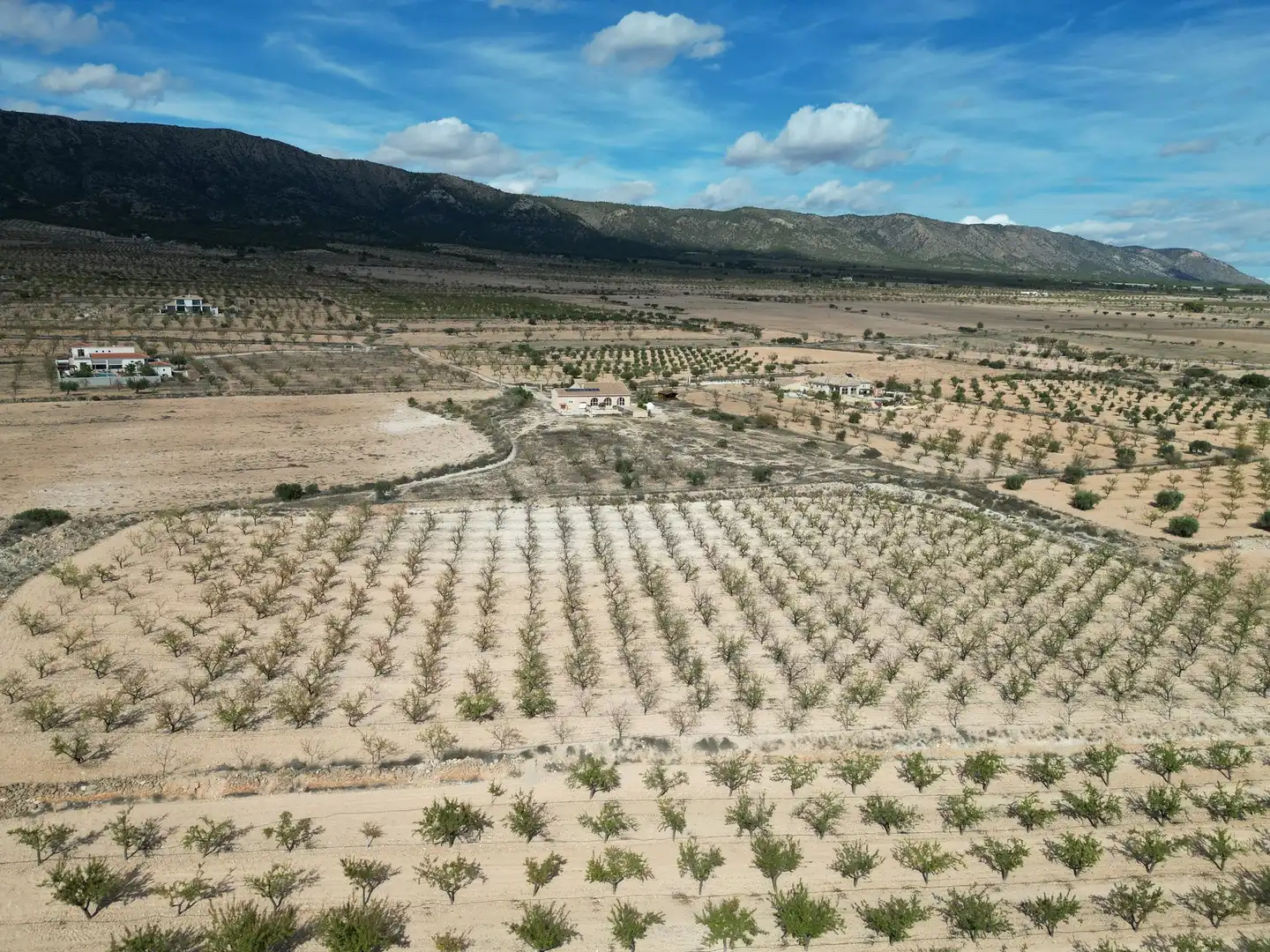 Wohnbaugrundstück zum Verkauf in El Pinós / Pinoso, imagen 3