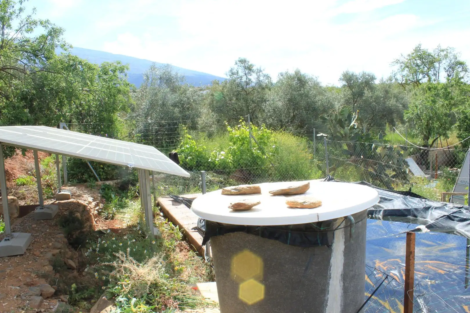 Jardín de Terreno en venta en Nigüelas