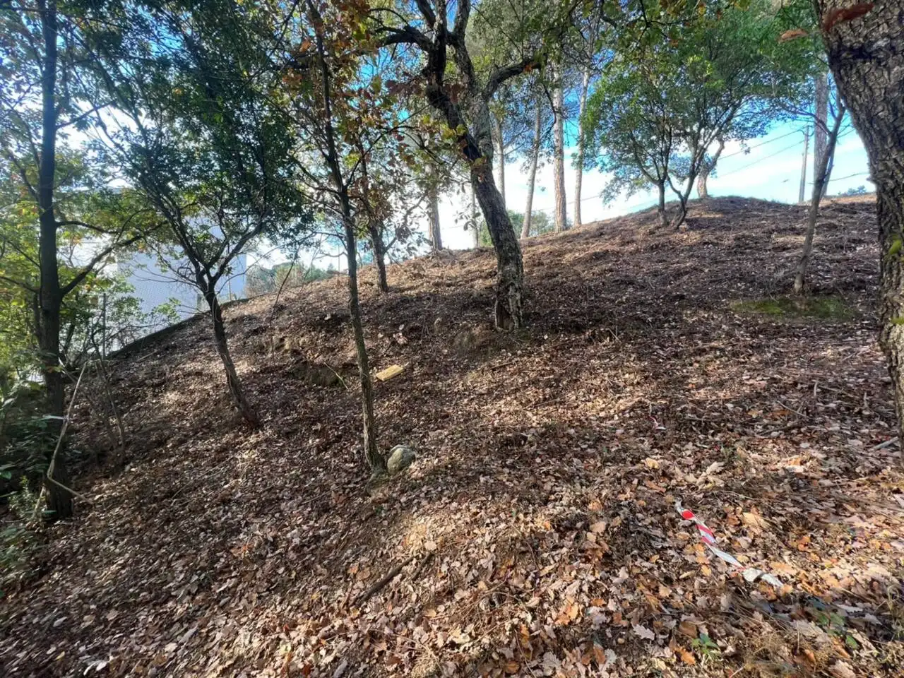 Terreno rustico in vendita a Calle Riells I Viabrea, imagen 11