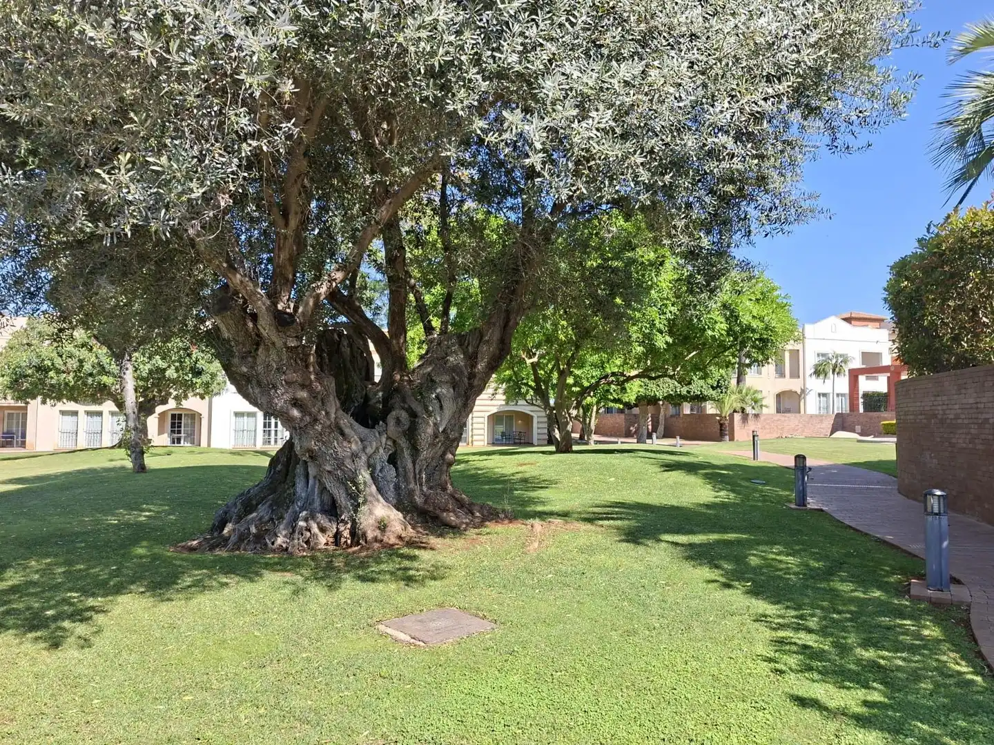Apartamento con piscina en venta en La Xara - La Sella, imagen 10