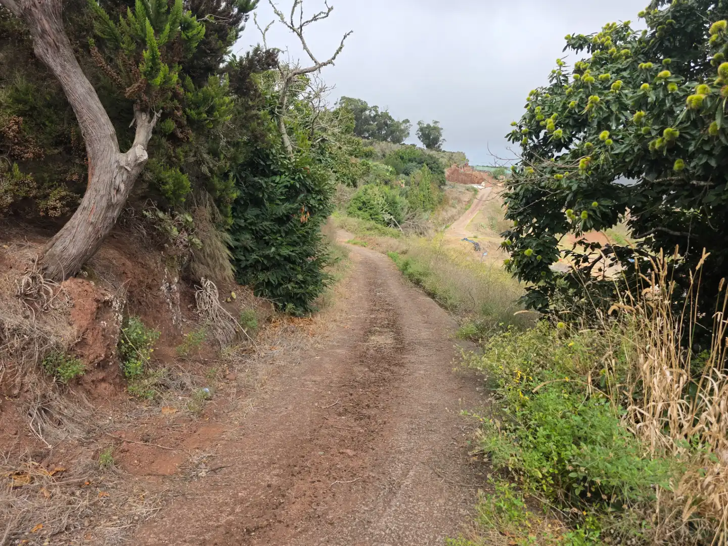 Rural land for sale in Camino las Peñuelas 11, imagen 20