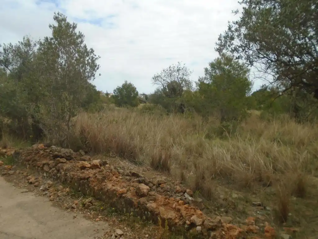 Rustikales Grundstück zum Verkauf in Paraje del Moro, imagen 8